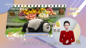 91黄色视屏